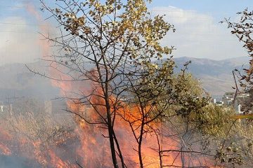 هواشناسی مازندران نسبت به احتمال آتش‌سوزی در جنگل‌ها هشدار داد